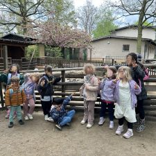 Streichelzoo Hasenheide
