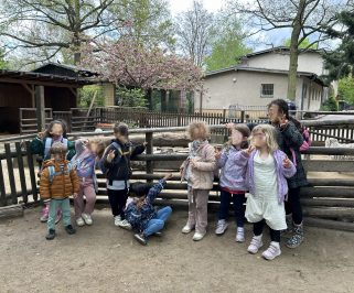 Streichelzoo Hasenheide